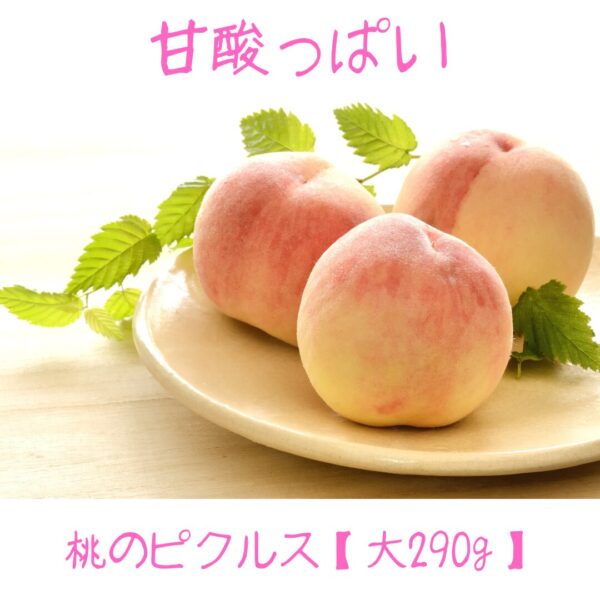 甘酸っぱい桃ピクルス【大】