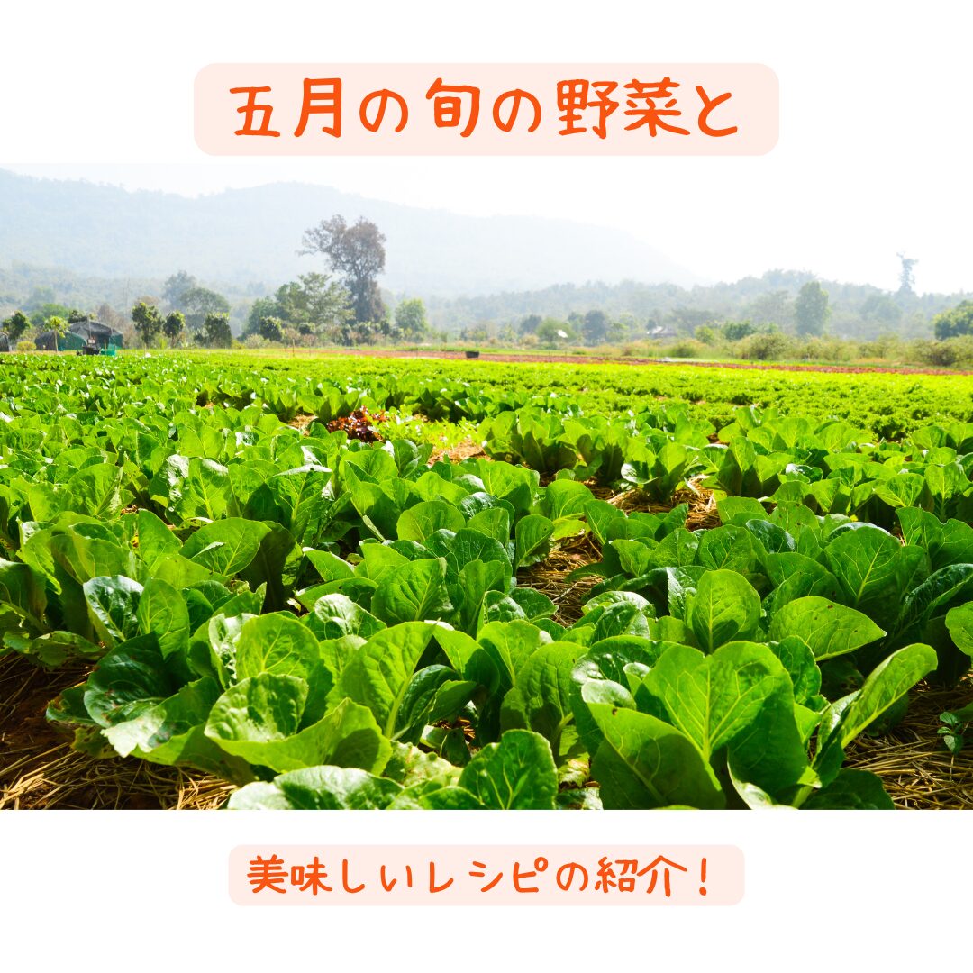 5月に旬の野菜と美味しいレシピまとめ